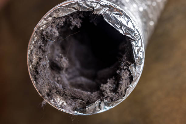 Best Best Air Duct Cleaning Company  in Windsor, VA